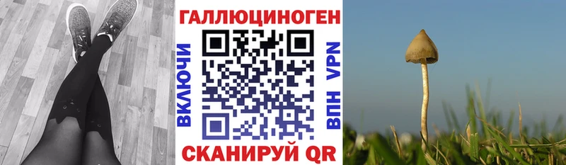 Галлюциногенные грибы Magic Shrooms  darknet телеграм  Невьянск 